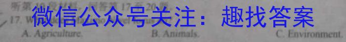 安徽省2022-2023学年九年级联盟考试（四）英语