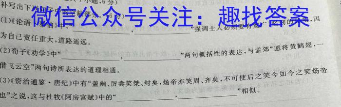 2023年福建大联考高三年级5月联考（524C·FJ）语文