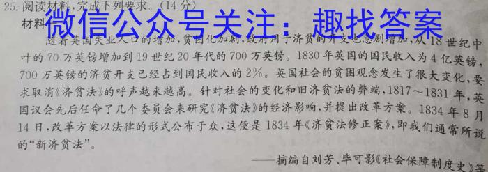 2023年湖南大联考高三年级5月联考（578C·HUN）历史试卷