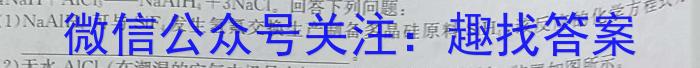 2023年陕西省初中学业水平考试冲刺（二）化学