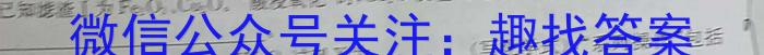 陕西省西安市2023年九年级教学质量检测B（△）化学