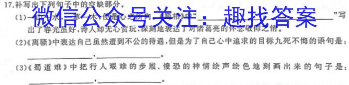 河北省保定市2022~2023学年度高二下学期5月联考(23-489B)语文
