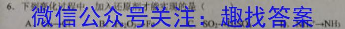 2023年中考密卷·临考模拟卷（三）化学