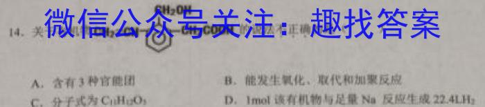 华师—附中 2023年普通高等学校招生全国统一考试 名校联盟·压轴卷(一)化学