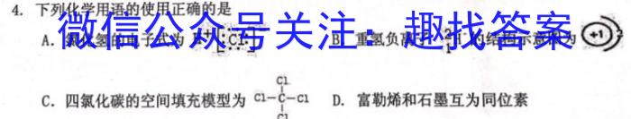 2023届安徽省中考规范总复习(九)化学