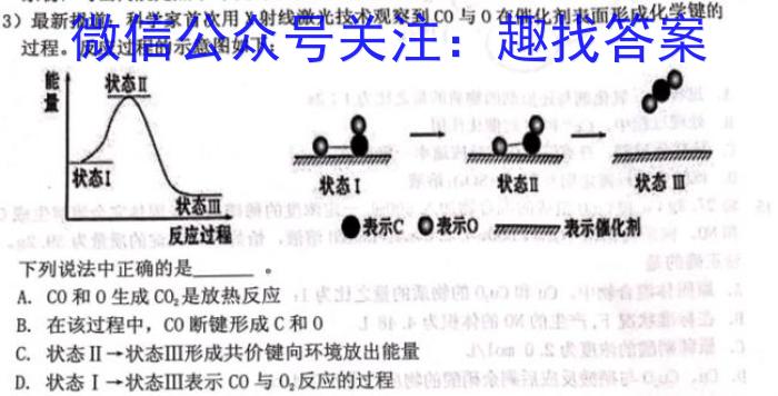 师大名师金卷2023年陕西省初中学业水平考试押题卷化学