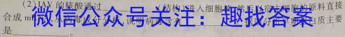 济洛平许2022-2023学年高三第四次质量检测(5月)生物