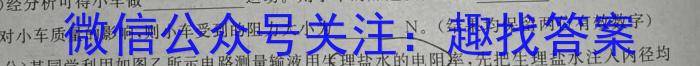 [高考仿真模拟]2023届九师联盟高三年级5月质量检测（XG）物理`