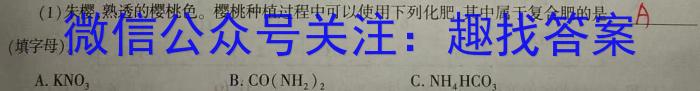 2023年邵阳三模高三5月联考化学