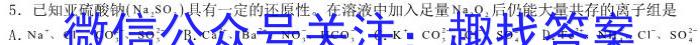 2023年广东省高三年级5月联考（445C）化学