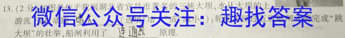 安徽省2023年九年级阶段调研（5月）l物理