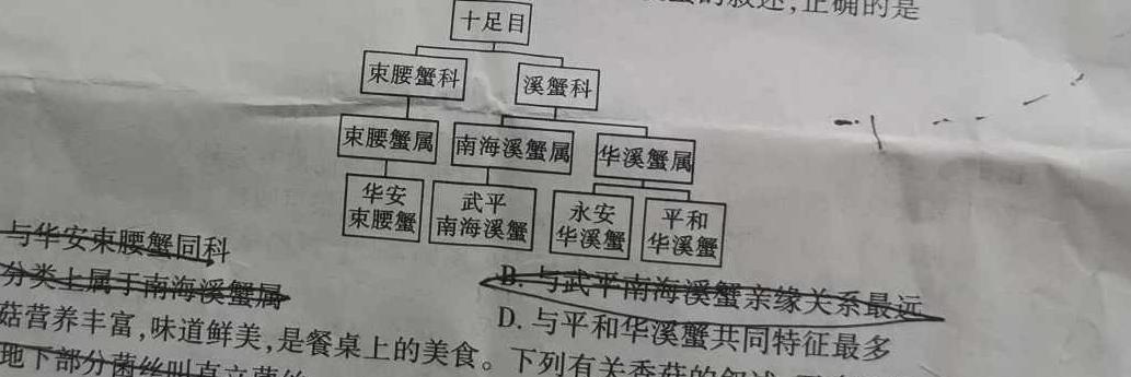 2023届衡水金卷先享题·临考预测卷 新教材生物