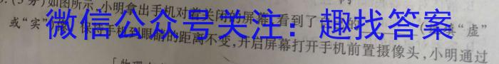 陕西省2023年普通高等学校招生全国统一考试（◇）物理`