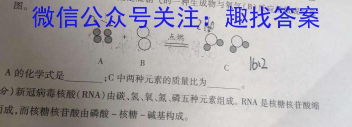 圆创联盟 湖北省2023届高三五月联合测评化学