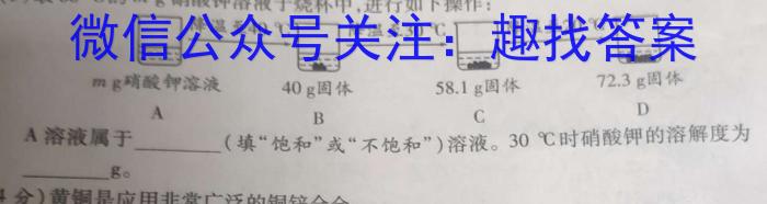 九师联盟2024-2023学年高三5月高考仿真模拟XG化学
