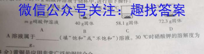 2023年安徽省初中毕业学业考试模拟仿真试卷(四)化学