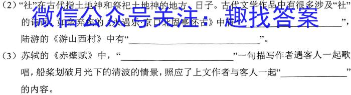 中考模拟猜押系列 2023年河北省中考适应性模拟检测(预测二)语文