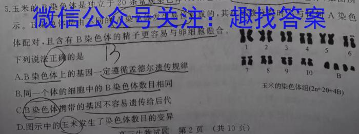 2023年福建大联考高三年级5月联考（517C·FJ）生物试卷答案