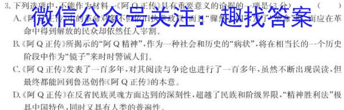 2022-2023学年度下学期高三年级第五次综合素养评价(HZ)语文