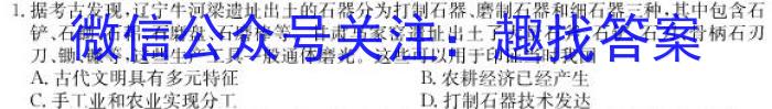 安师联盟2023年中考摸底考试（5月）历史