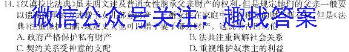 2023年商洛市第三次高考模拟检测试卷（23-432C）历史