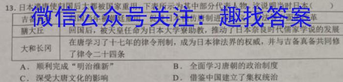 2023年普通高等学校招生全国统一考试·临门一卷(一)历史