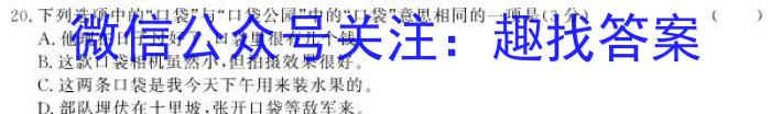 九师联盟 2022-2023学年高三5月考前押题(X)语文