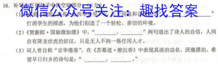 天一大联考皖豫名校联盟2022-2023学年(下)高二年级阶段性测试(四)语文