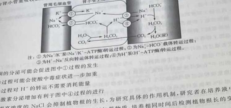 2023年普通高等学校招生全国统一考试·专家猜题卷(五)生物