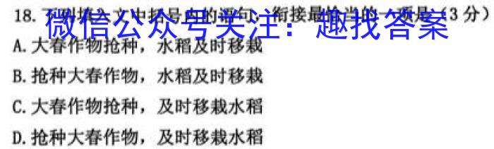 2023年辽宁大联考高三年级5月联考（517C·LN）语文