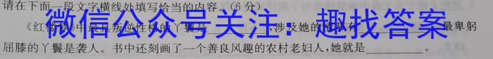 2023年河南大联考高三年级5月联考（578C-乙卷）政治1