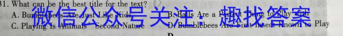 中考模拟压轴系列 2023年河北省中考适应性模拟检测(仿真一)英语