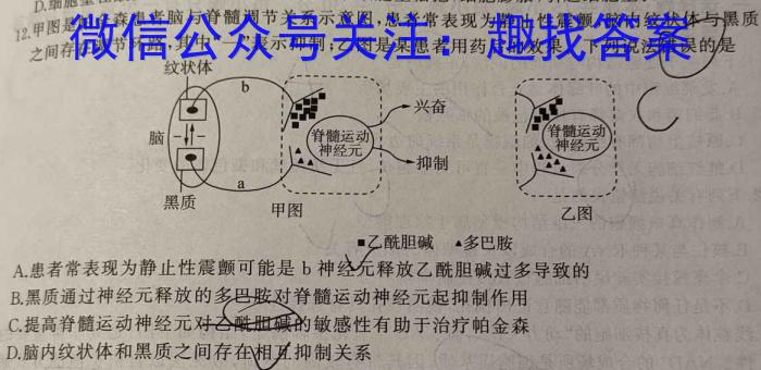 2023年普通高等学校招生伯乐马押题考试（二）生物