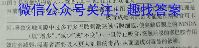 2023年普通高等学校招生全国统一考试 高考仿真冲刺押题卷(六)生物试卷答案