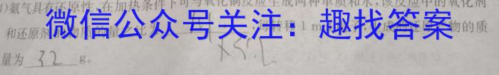 2023年安徽省中考信息押题卷(二)化学