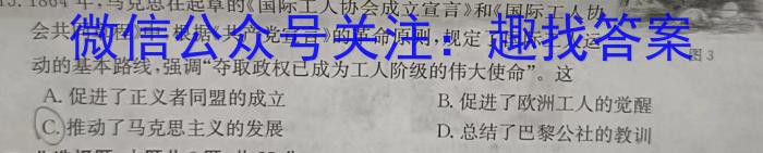 圆创联盟 湖北省2023届高三高考模拟测试(二)政治s