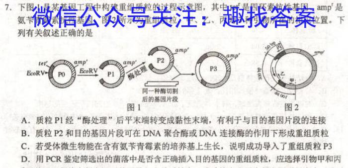 山西省2024-2023学年八年级下学期期末综合评估（8LR-SHX）生物