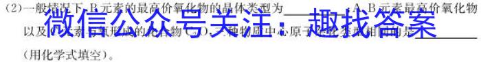 2023年陕西省初中学业水平考试全真模拟预测试卷A化学