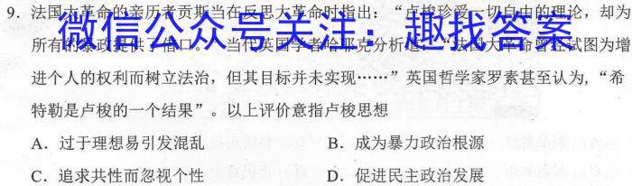 2023年陕西大联考高三年级5月联考（578C-乙卷）历史