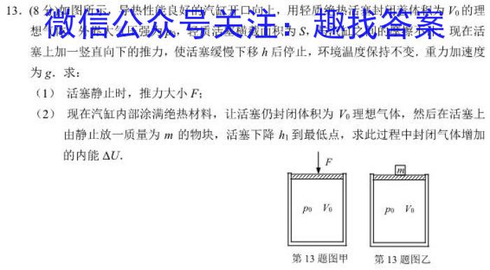 2023届高考冲刺卷(一)物理`