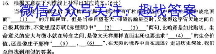 皖智教育 安徽第一卷·2023年八年级学业水平考试信息交流试卷(十)语文