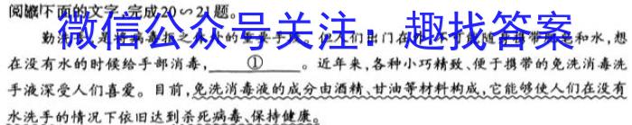 一步之遥 2023年河北省初中毕业生升学文化课考试模拟考试(十一)语文
