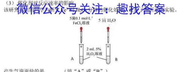 河南省名校联盟2024~2023学年高三下学期5月联考(2023.5)(3493C)化学