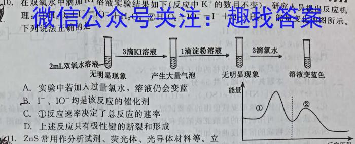 圆创联盟 湖北省2023届高三高考模拟测试(二)化学