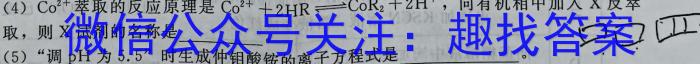 河北省2024-2023年度八年级下学期阶段评估（二）【7LR-HEB】化学