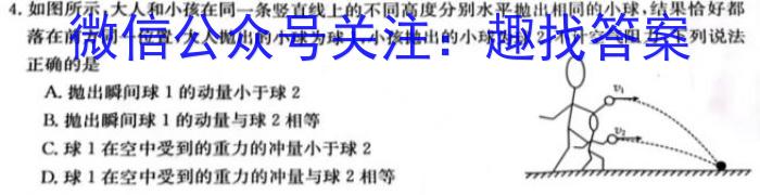 2023届哈尔滨市第九中学高三第四次高考模拟.物理