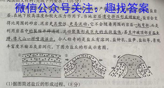 2023届全国普通高等学校招生统一考试(新高考)JY高三终极一考卷(二)q地理