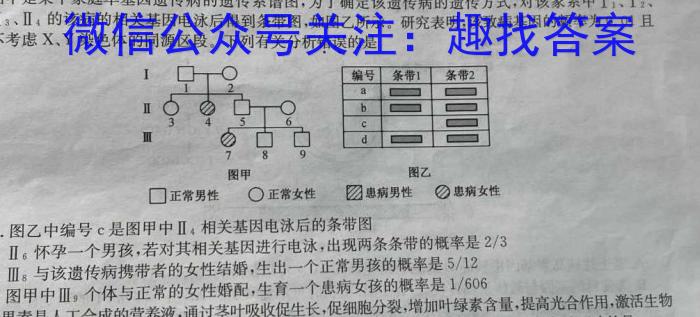 2023年河南大联考高三年级5月联考（5003C·HEN）生物试卷答案