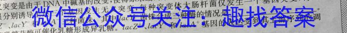 2023普通高等学校招生全国统一考试·名师原创调研仿真模拟卷(三)生物