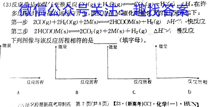 【益卷】2023年陕西省初中学业水平考试全真模拟卷（八）化学